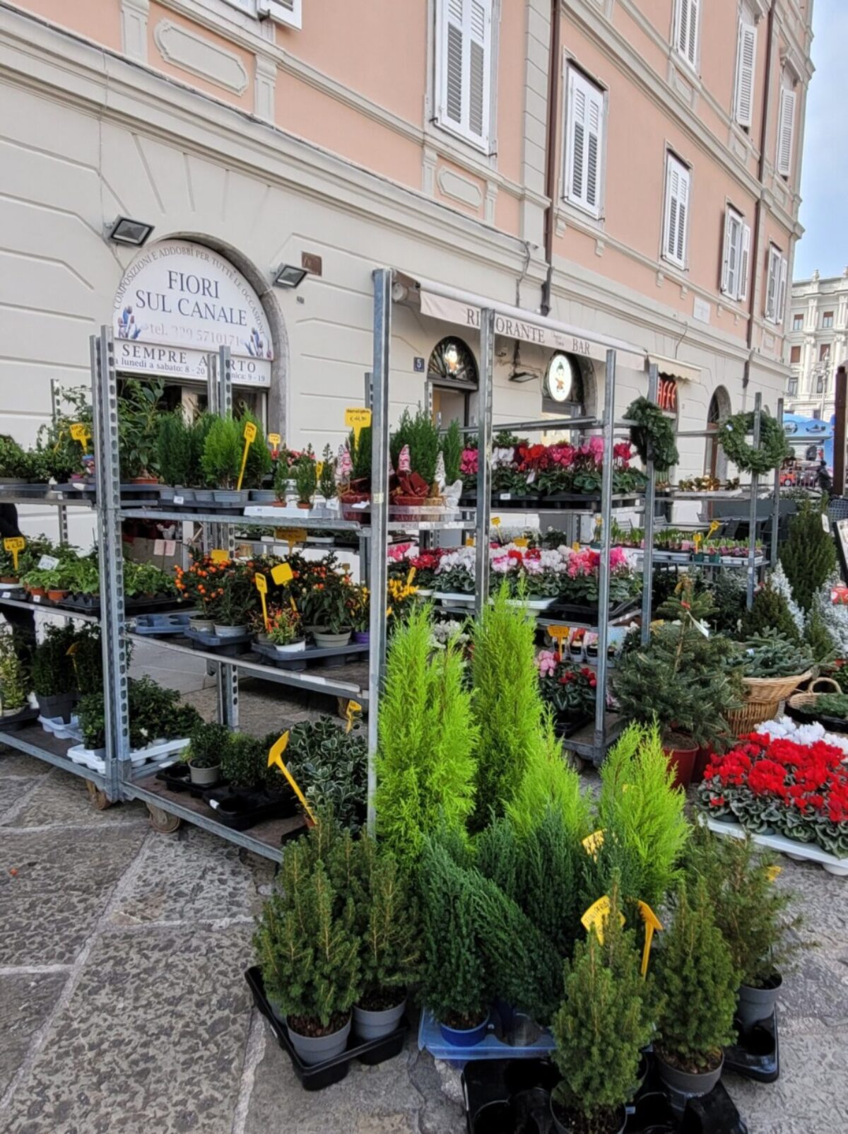 advent trst 2023 14