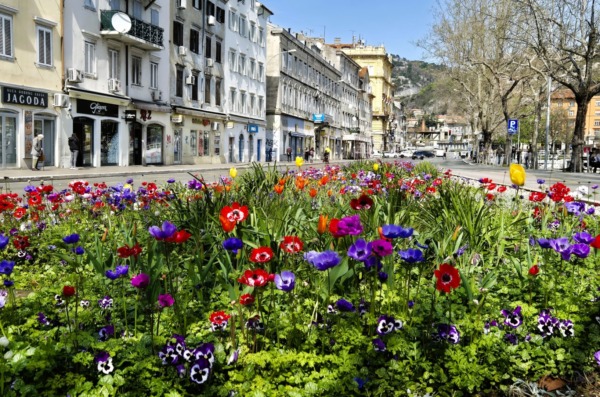 fiumara cvijeće travanj 2025
