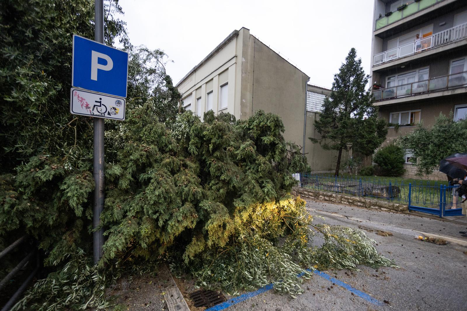 Olujno nevrijeme rušilo stabla u Puli