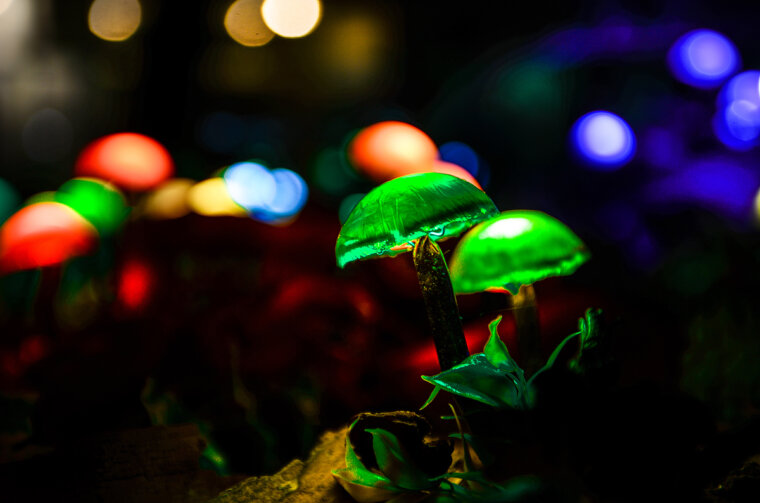 Installation Magic Garden by Visualia Group, foto by Giordano Cellich